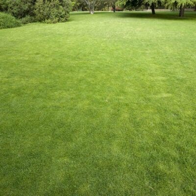 Lawn Mowing Services Newburyport, MA