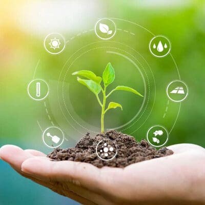 Newburyport, MA Landscape Maintenance Services