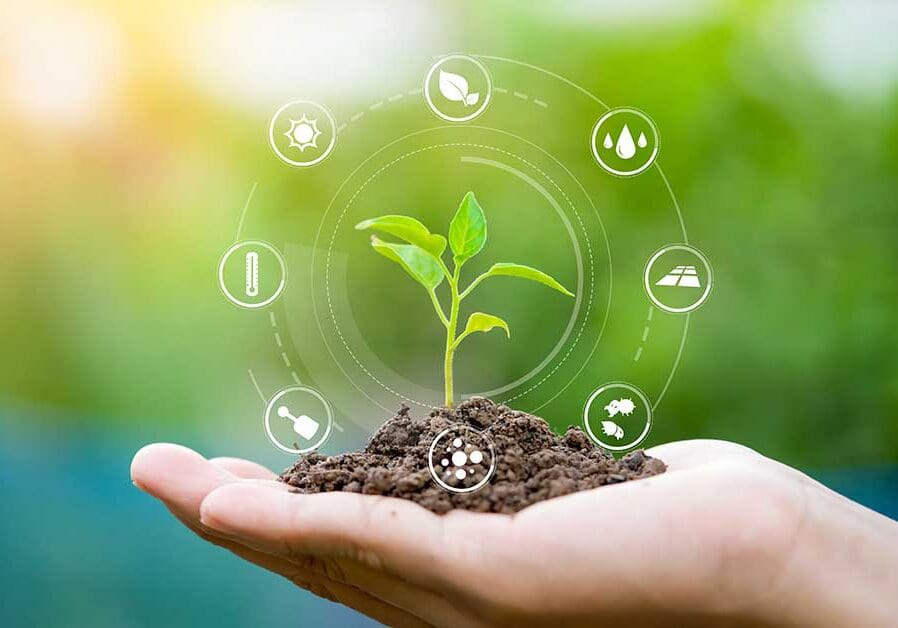 Newburyport, MA Landscape Maintenance Services