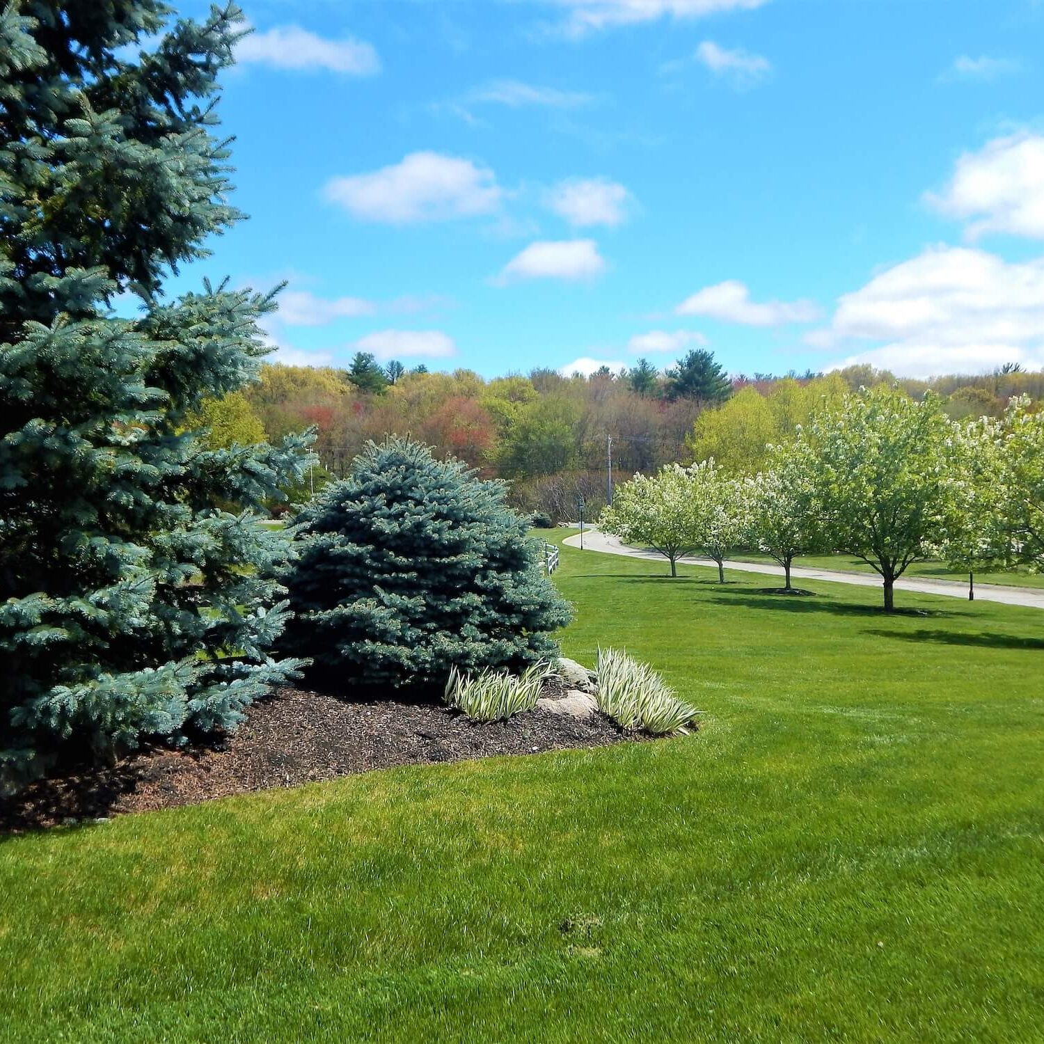 Commercial Maintenance- Farms11