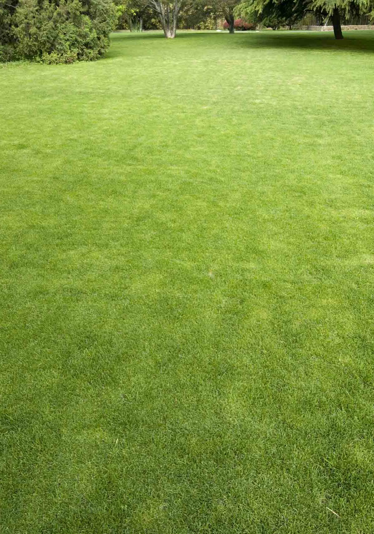 Lawn Mowing Services Newburyport, MA