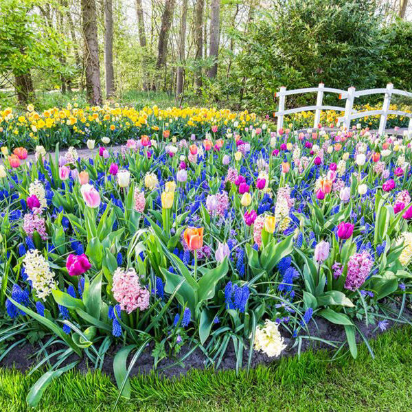 West Newbury, MA Landscape Design